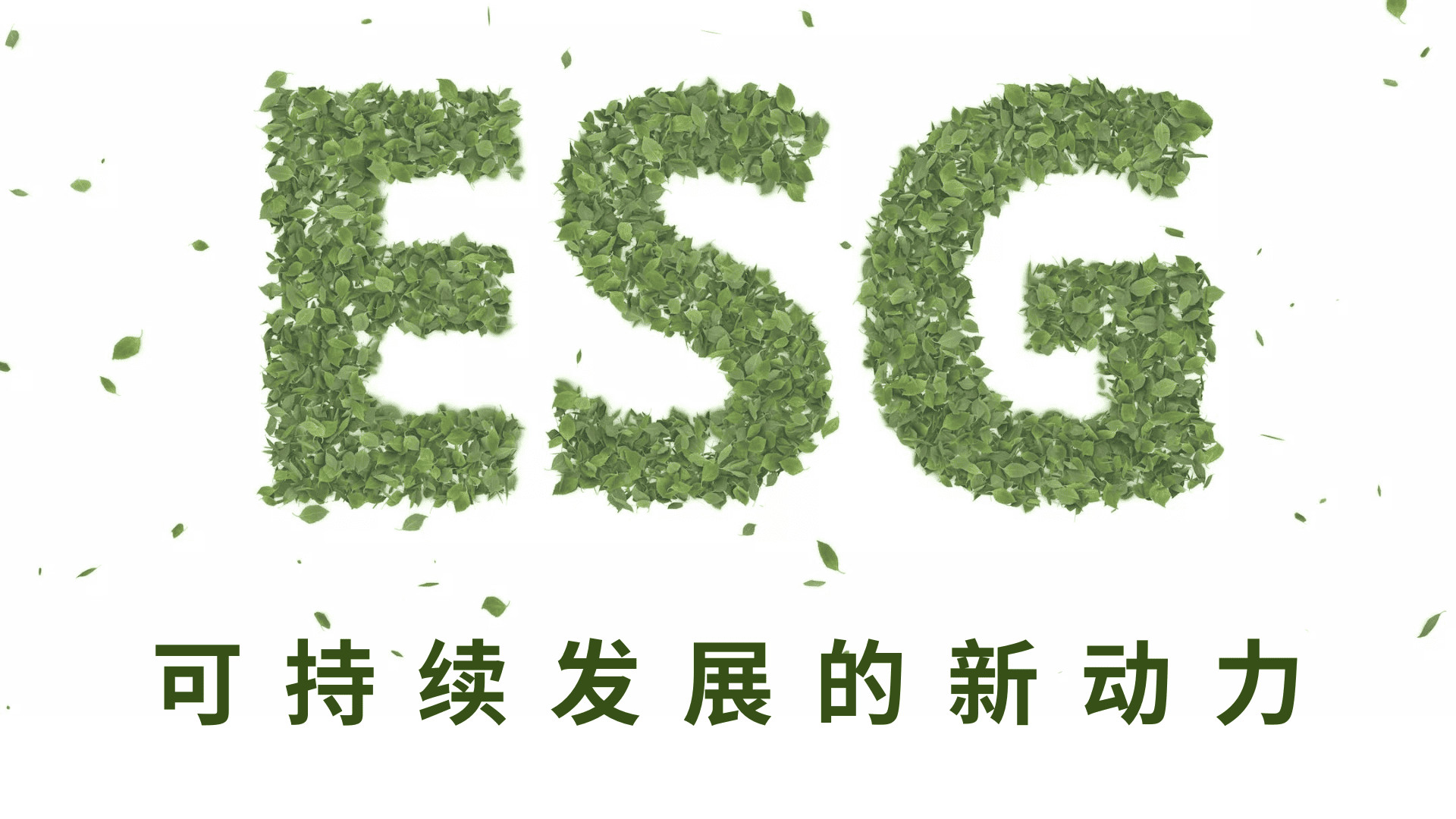 ESG - 可持续发展的动力 | AI Financial恒益投资